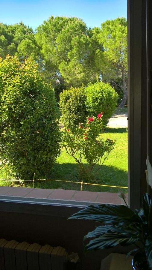 Bed and Breakfast Chez Naomi Saint-Jean-de-Cornies Exterior foto